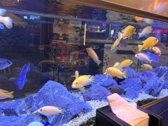 -黄鱼炙夜·烧烤·小龙虾(星荟广场店)