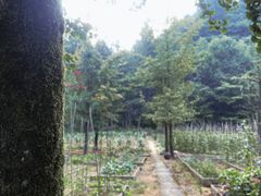 -山王坪喀斯特国家生态公园