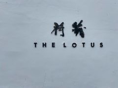 -几荷·恰似故人来(秀水广场店)