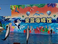 -北戴河圣蓝海洋公园