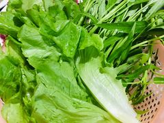青菜-官塘牛同志牛肉火锅