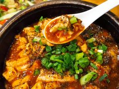 邵子牛脊髓-曾牛肉