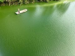 -洋湖国家湿地公园