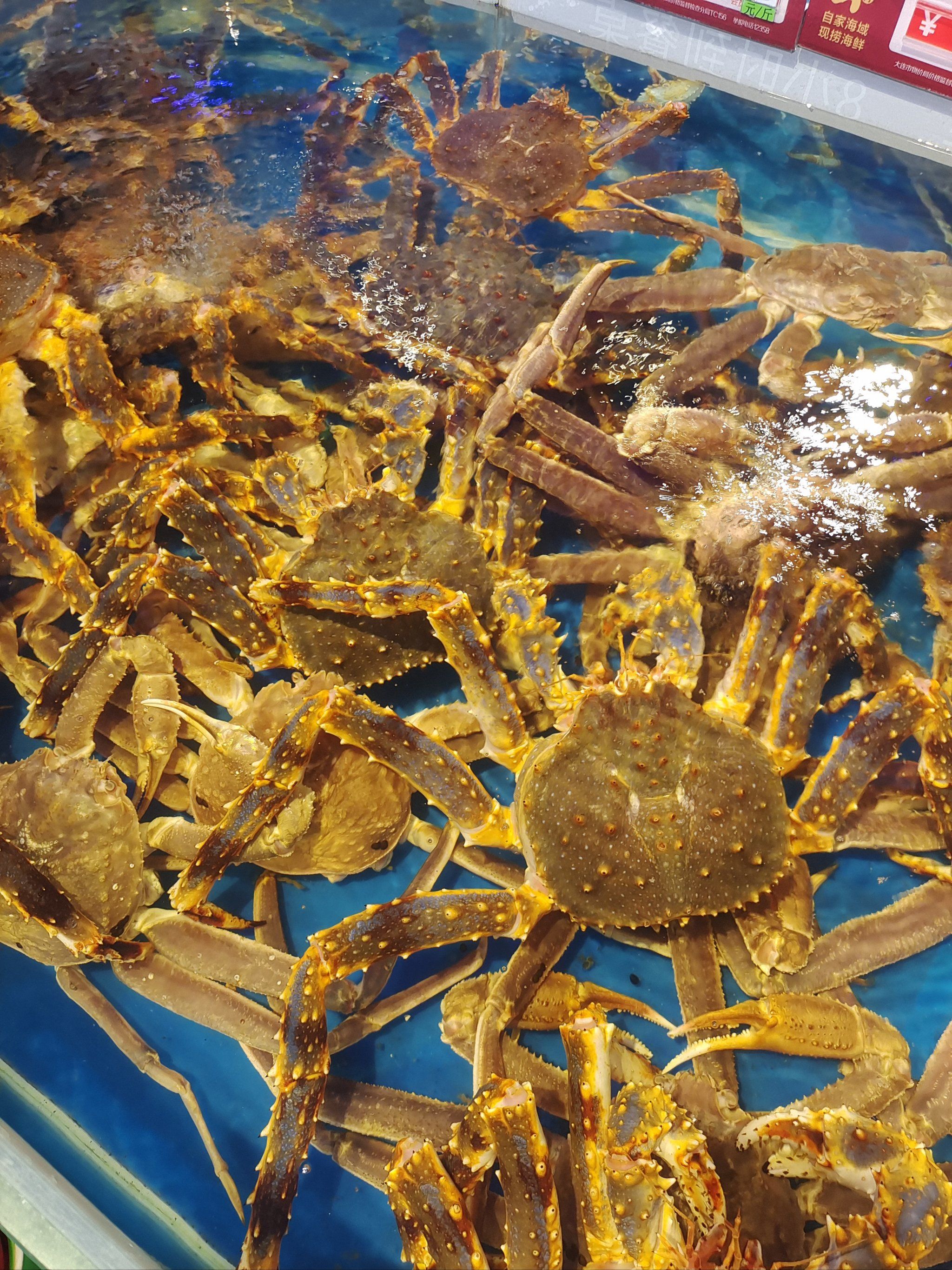 海胆控必看!超级美味的小平岛海胆攻略