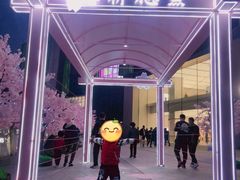 -金茂览秀城