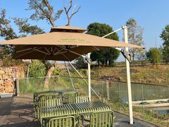 -田园东方蜜桃村的田野营地