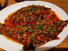 -聚鑫朋酸菜肥肠(文艺路口店)