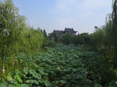 -东台西溪天仙缘景区