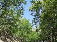 -北京凤凰岭