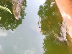 -海南热带野生动植物园