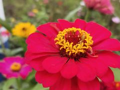 -贵阳市花溪国家城市湿地公园