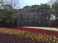 -上海鲜花港