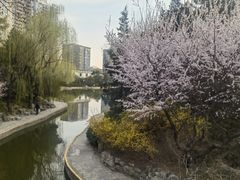 -团结湖公园