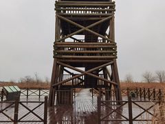 -盐城丹顶鹤湿地生态旅游区