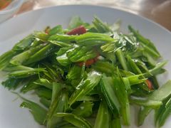 苦瓜-绿草墩