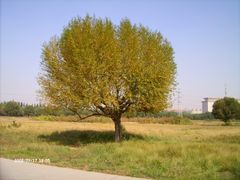 赛汗塔拉生态园&nbsp;(11)-赛汗塔拉风情园