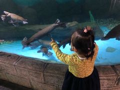 -苏州海洋馆