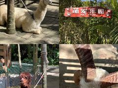 -呀诺达热带雨林