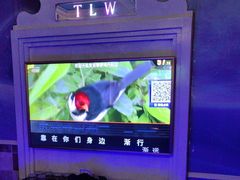 -铜锣湾量贩式KTV(丹阳店)