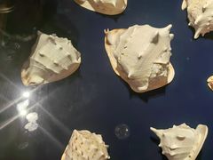 -青岛贝壳博物馆