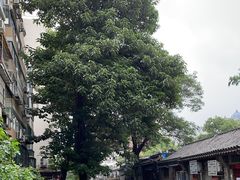 -星巴克(北京新东安)