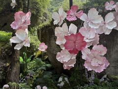 -秦岭终南山世界地质公园翠华山景区
