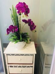 -薇兰专业脱毛连锁机构