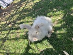 -鄂尔多斯野生动物园