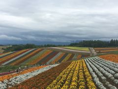 -富田农场