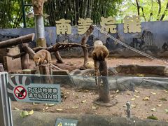 -深圳野生动物园