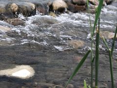 -白河湾生态旅游一条川