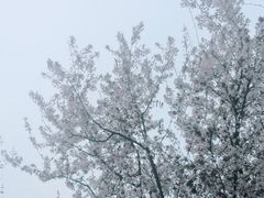 -星巴克(西安旺座现代城店)