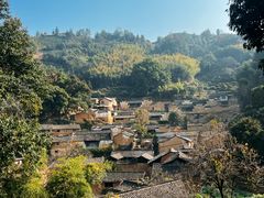 -杨家堂村