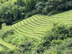 -敬亭山风景名胜区