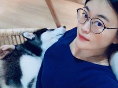 -Husky Go! 哈士奇体验馆·宠物咖啡厅狗咖