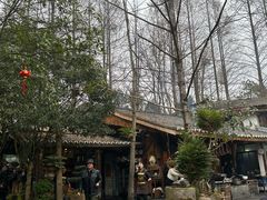 -青城甲(青城山店)