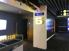 -奥斯卡升龙国际影城(RealD Cinema)