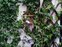 -家烧面馆【南山路知名经典面食】