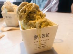 -野人先生现做冰淇淋(北京环宇荟店)