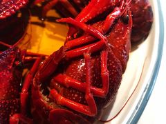 -杨氏青龙虾·羊蝎子(金盛路总店)