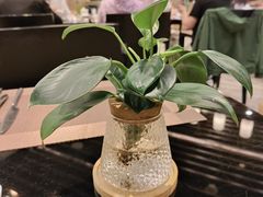 -索菲特酒店·海鲜自助 ·聚餐厅