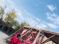 -敦煌古城