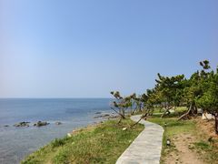 -养马岛旅游度假区