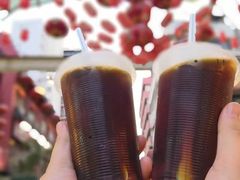 -罗汉果龙眼冰糖燉冬瓜