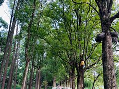 -东湖生态旅游风景区