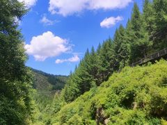 -苏木山森林公园