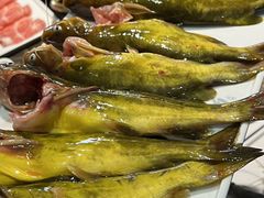 -铭记蛙小仙·活蛙畅享(CBD万达广场店)