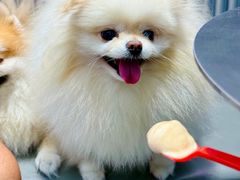 -DQ·蛋糕·冰淇淋(五角场万达店)