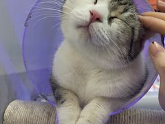 -极木²邸 人与宠物·互动社区