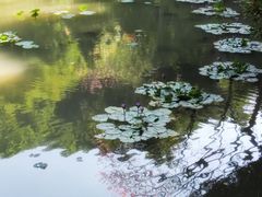-火炉山森林公园